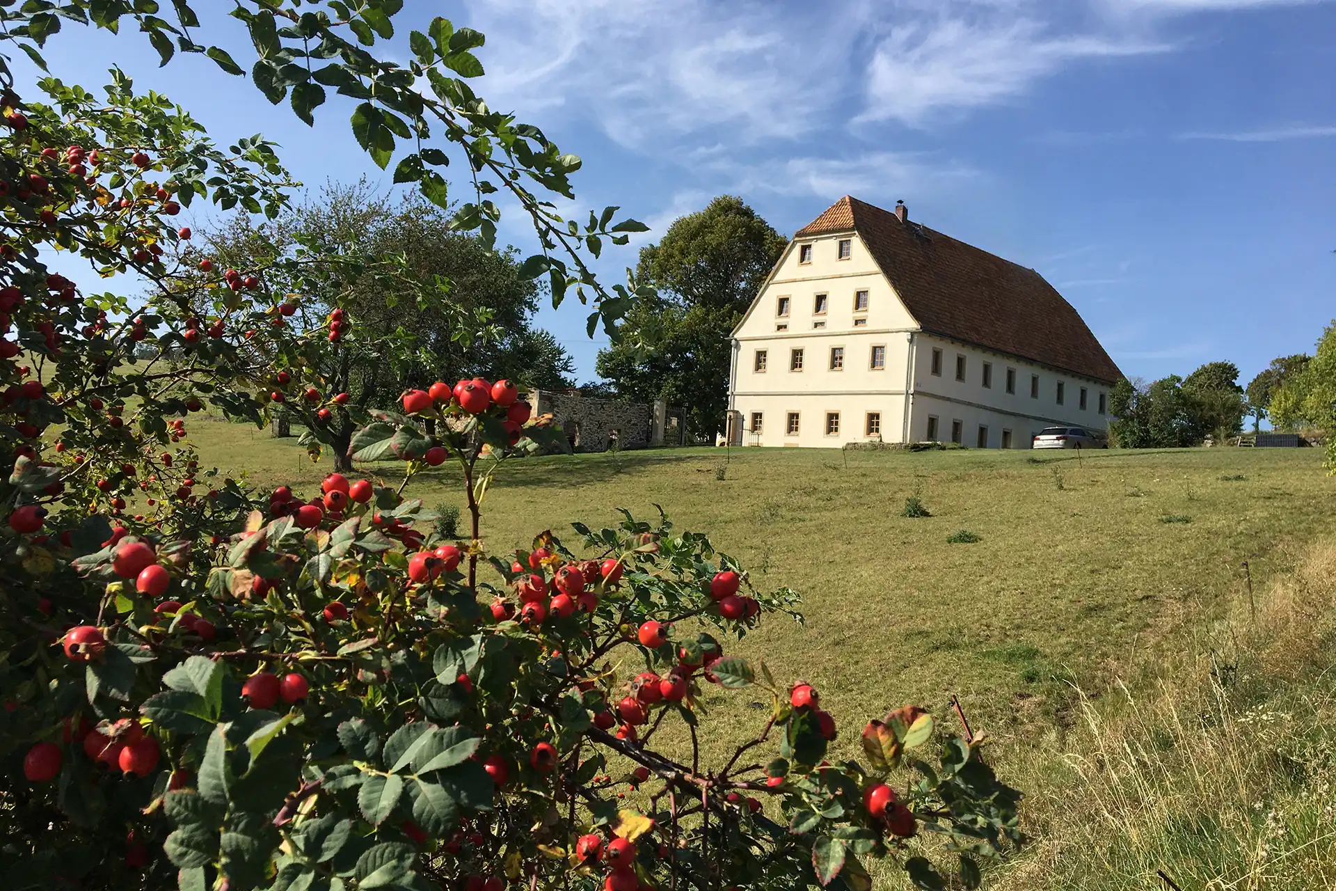 Lindenhof Michaelis - Außenansicht mit Hagebutten